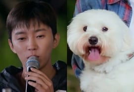 El poder de Lim Young-woong de nuevo... 'Soltero de la montaña, Héroe', en el puesto 1 de audiencia
