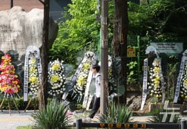 "Let's go to Starbucks," "Tank Day": High school baseball cheers that shook the political sphere... Why did Korean society become so outraged?