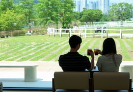 Let's Run Park Seoul's 'Slow Pony' Cafe Becomes a Hot Topic