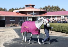 Jeju Ranch, 'Nix Go' Becomes Most Popular in First Year