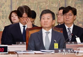 First witness to skip Football Association hearing emerges... Concerns over 'same reason' for non-appearance by Jung Mong-gyu, Lee Im-saeng and others