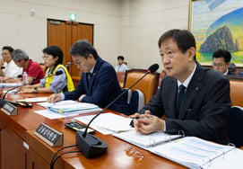 Lee Chan-jin (Director), "Homeplus' 200 billion won DIP, must consider exclusion from subordinated bonds"...National Assembly Political Affairs Committee