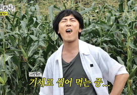 Kim Won-hoon hace una aparición sorpresa como invitado... un movimiento arriesgado de "comer maíz crudo" por aferrarse a la idea de ser fijo [Nolmwo].
