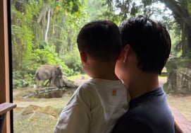 'Preparing for the second child,' Son Yeon-jae travels to Bali with her husband and son... "Even the back of their heads look exactly alike"