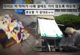 Suspicions of Park Na-rae being exploited as a street performer... Father speaks out amid abuse controversy: "She must come back" ('Curious Story Y')