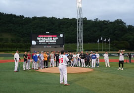 Ulsan Whales to Host Baseball Clinics for Local Office Workers and High School Students... Expanding the Base of Recreational Sports
