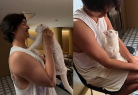 Gong Yoo, choked up after losing his pet cat: "As the firstborn, I was worried... Let's meet again"