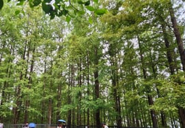 [K-TRAVEL⑨] Seoul Ansan... Walking + Hiking + Scenic View: A Three-Fold Seoul Tour