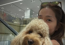 'Nueva York' Lee Jin regresa con su perro de compañía.. Establecimiento en Corea → Fink y Song Hye-kyo: 'Felicidad' [Star Issue]