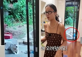 Hwang Jung-eum rescues dog facing euthanasia, but controversy erupts over "leaving it in the yard during heatwave" [Star Issue]