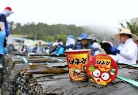 Nongshim y Wando, una alianza de "kelp fresco" que se mantiene desde hace 45 años