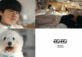 Lim Young-woong's new album title track is "Tto Tto" .. Even his pet dog Siwol participated in writing and composing the lyrics