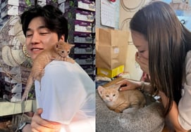第31期のスンジャ♥キョンス、可愛らしい子猫たちに口を閉じさせ..「ニャンニャン祝福」