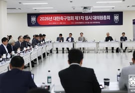 [Official] Rules for the election of the president of the Korea Football Association have been changed; in case of a vacancy, an election must be held within 60 days, but postponement up to six months is now possible