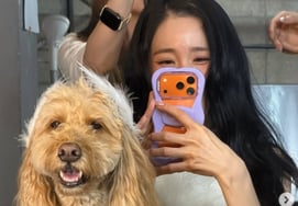 『変ヨハン♥』ティファニー、ボクジャを抱きしめて幸せ..ハワイのハネムーン後の新婚生活 [スタイイシュー]
