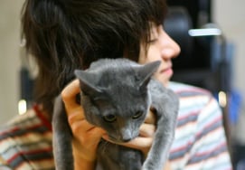 Kim Hee-chel bids farewell to his companion cat Hee-beom, with whom he lived for 20 years... "What should I do?"