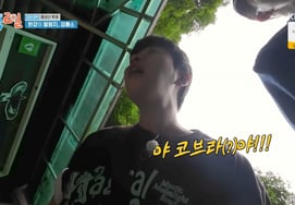 Kim Jong-min and DinDin discover a real snake while filming '2 Days & 1 Night': "It's a cobra!" — panic ensues [ByeolbyeolTV]