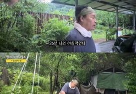 '三度四亲' 李英子,因秋雨前院菜园一片狼藉 “我精心培育的作物全倒了”