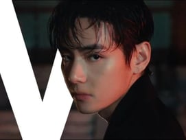 방탄소년단 뷔, 넷플릭스 티저 '국보급 비주얼' 압도적 화제..구글 최다검색 50% 차지