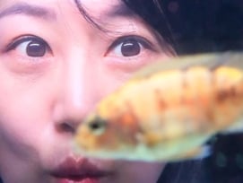 '도경완♥' 장윤정, 사칭 경고.."팔로워에 DM, 주의"