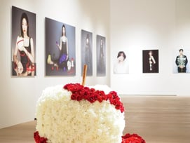 고현정·송혜교→이병헌·변우석..한일배우 62인 '페이스 투 페이스'