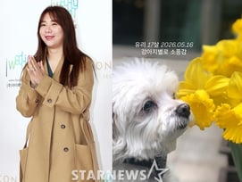 허안나, "심장에 종영생겼다"던 반려견과 이별..강아지별로 소풍