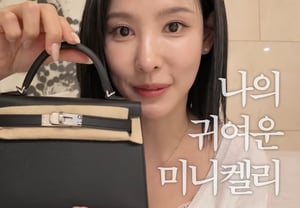 JTBCエアコン発言論争..イ・ナヨン、エルメスのバッグを自慢「私にくれる報酬」 [スター・イシュー]