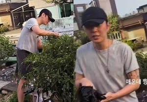 泫雅用敬语,♥龙俊亨用平语..在辣椒收获视频中展现“鹦鹉夫妇”的默契