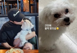 私は元気です「パク・ソングァンの吹き替え..緊急入院していた「12歳の愛犬」が肺水腫から回復