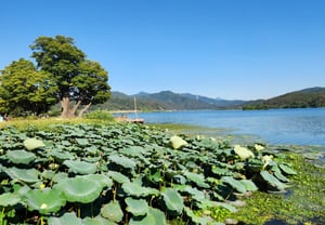 [Viajes KTR 13] Dosum-mori en Yangsu-ri: un lago donde armonizan el brillo del agua, el resplandor de las montañas, los lotos y los juncos
