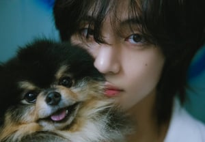 BTS V's Solo Power! 'Layover' Becomes First K-pop Solo Album to Surpass 150 Million Total Streams Across All Tracks
