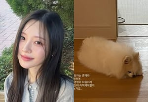 'Park Sung-kwang♥' Lee Sol-i, Heartbreak Over Pet Dog's Heart Condition "First Time Facing Eternal Farewell... Already Too Hard"