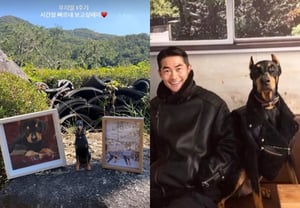 裴正南，发送告别短信已一年……克服宠物丧亲综合征“我的女儿”[明星话题]