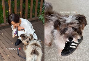 'My Q♥' Kim Na-young proudly introduces her 'third child': "She's cute no matter what she does"