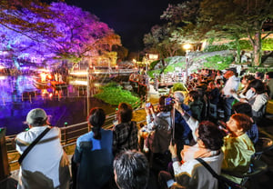 Ministry of Culture, Sports and Tourism and Korea Tourism Organization: Japanese Prime Minister Also Adored the 'Hahoe Seonyu Julbunori' — Travel Popularity Among Japanese Tourists Rises