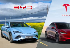 Tesla and BYD, which account for 40% of the imported car market… Facing “repair hell” and “half-baked FSD,” they will take the stand at the National Assembly audit on the 8th