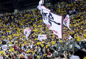 [Photo] LG, New Era of 1.6 Million Spectators: "Barely Secured Tickets to the Baseball Stadium"