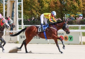 Kim Tae-hee, jockey, đạt 100 chiến thắng sau 5 năm ra mắt