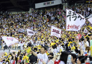 「チケット争奪戦は終わるのか」文化体育観光部、秋季野球でダフ屋撲滅に乗り出す··· 本日(14日)よりPS全試合で集中取締りを実施、「積極的な通報」を要請