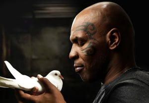 ¡El 'aficionado a las palomas' Tyson se ha cruzado de línea! "Vestirse de paloma para hacer un sketch + golpear a un hooligan de Evander Holyfield" → Finalmente explota la ira y estalla una demanda por 26 mil millones de wones
