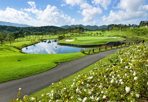 A Guide to 'Tailored' Golf Courses in the Honam Region Recommended by Golfzon County Tis Scanner