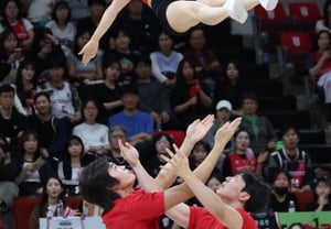[フォト] 墜落するには翼がある