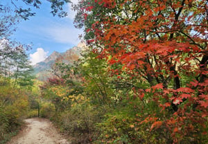 [K-TRAVEL ⑮] 北漢山ウイリョン道···赤い紅葉の中へ案内するソウルの秋の庭園