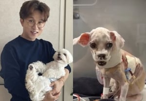 パク・ソングァン、老犬クァンボクの手術が終わった..痩せ細って骨だけになった姿、心が痛んでも「立派」