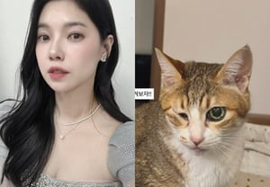 «Lee Jang-won ♥» Bae Da-hae, tristeza por su gato de compañía que perdió la córnea: «Los ojos redondos que mi bebé ya no podrá ver más»