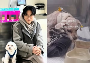 "No puede comer por sí mismo"... Actualización sobre "Gwangbok", el perro de Park Sung-kwang, tras la cirugía [Star Issue]