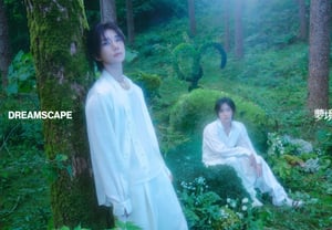 SEVENTEEN's Jeonghan and Joshua: Foreign media also react strongly to mini album, calling it "fantastic sound"