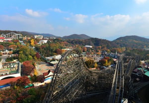 Everland anticipates peak autumn foliage from late October to early November... Forest experience program in operation