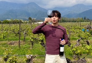 防弹少年团V所饮用的葡萄酒再度售罄……强大的“V效应”