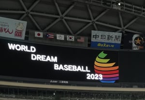 【残疾人棒球今日】① 被国家队之名所遮蔽的人们